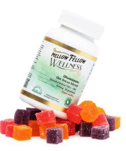 Mellow Fellow Wellness Gummies – Focus Blend – Tropic Medley (600 mg Total Cannabinoids)