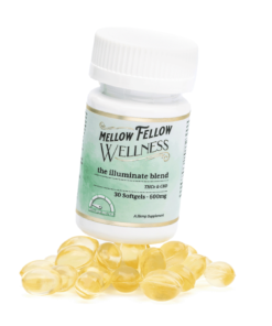 Mellow Fellow Wellness Softgel Capsules – Focus Blend (600 mg Total Cannabinoids)